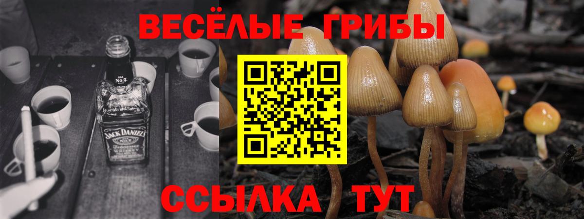 Псилоцибиновые грибы Psilocybine cubensis  Вход с VPN  где продают наркотики  Шахты 