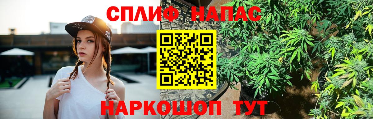 Каннабис конопля Шахты